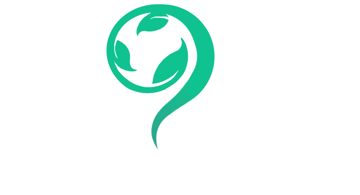Spa Nine & Hair Design logo